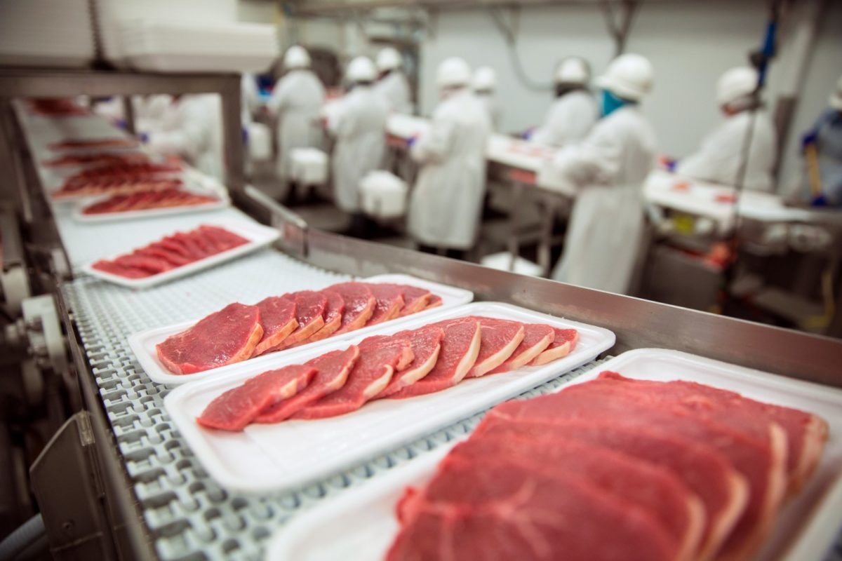 Pork chops that have been sliced using a food processing automation system.